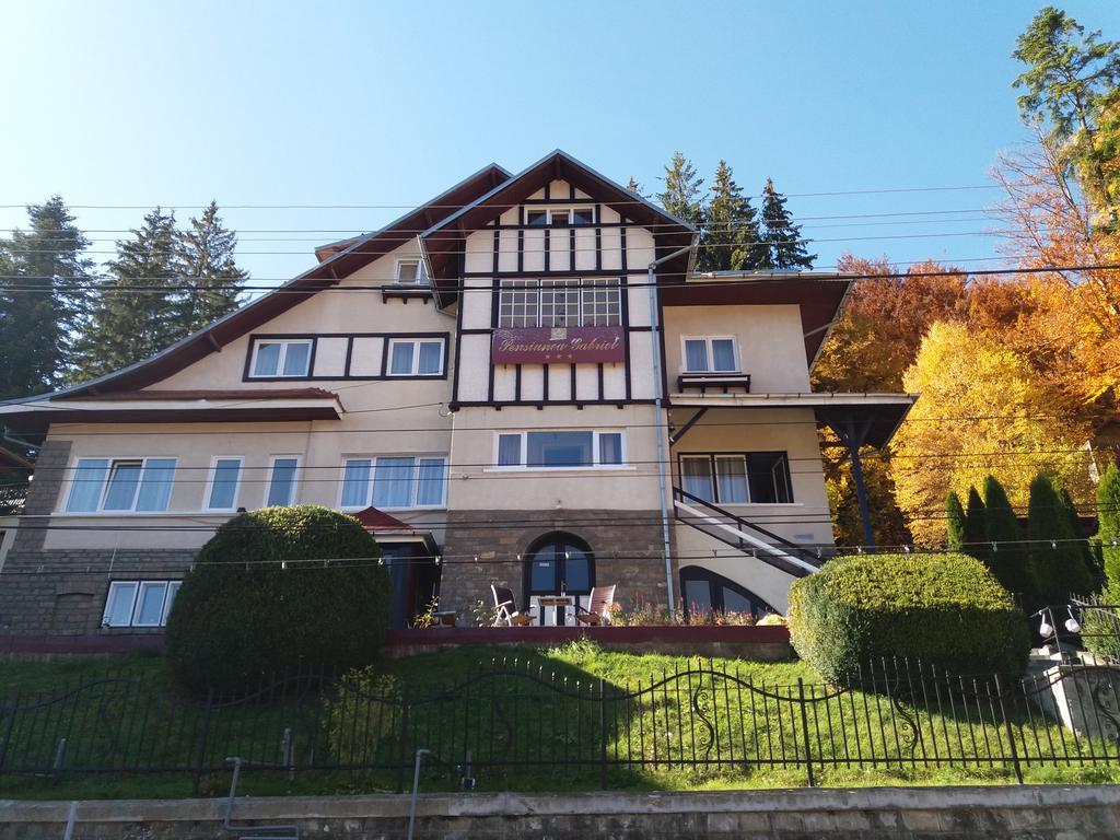 Vila Gabriel Sinaia Exterior photo